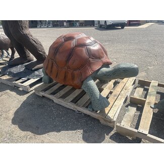 Jumbo Turtle