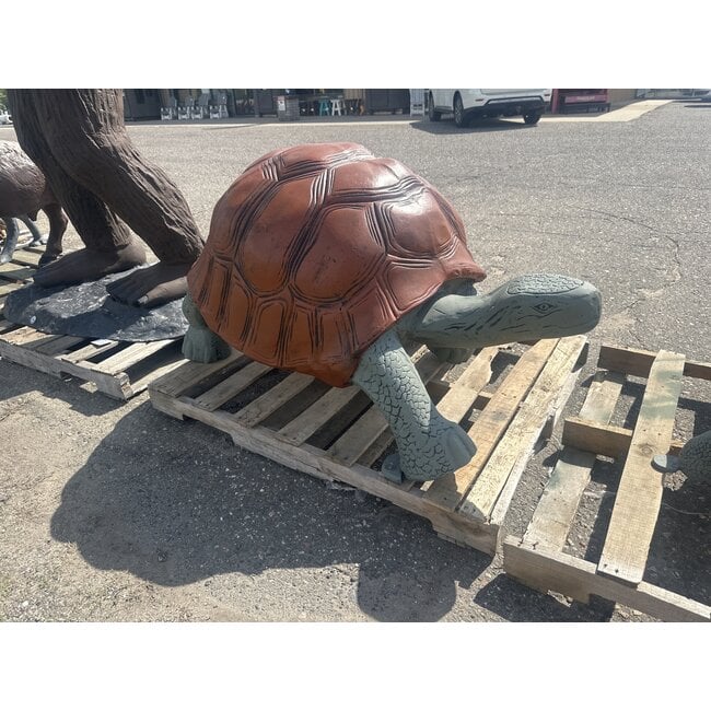 Jumbo Turtle
