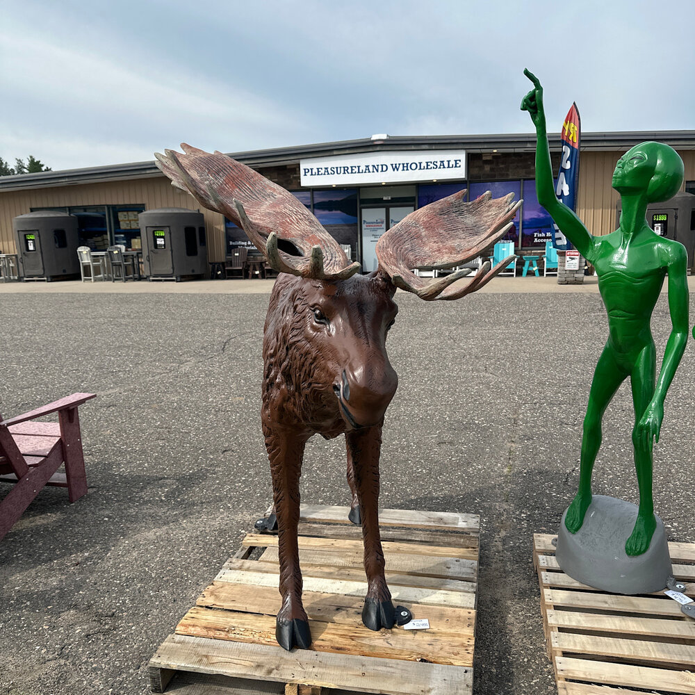 Moose