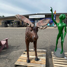 Moose
