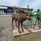 Moose