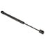10lb Door Strut