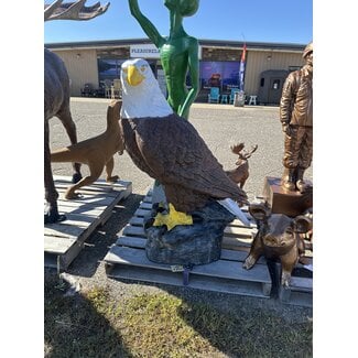 Large Eagle on Rock