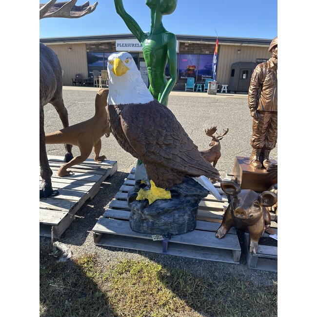 Large Eagle on Rock
