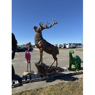 Elk
