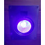 Hole Lights 12 VDC UV and White LED