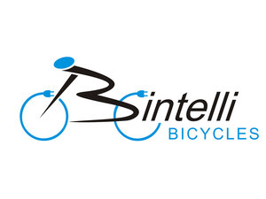 Bintelli Bicycle