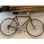 Schwinn Frank's Purple Schwinn
