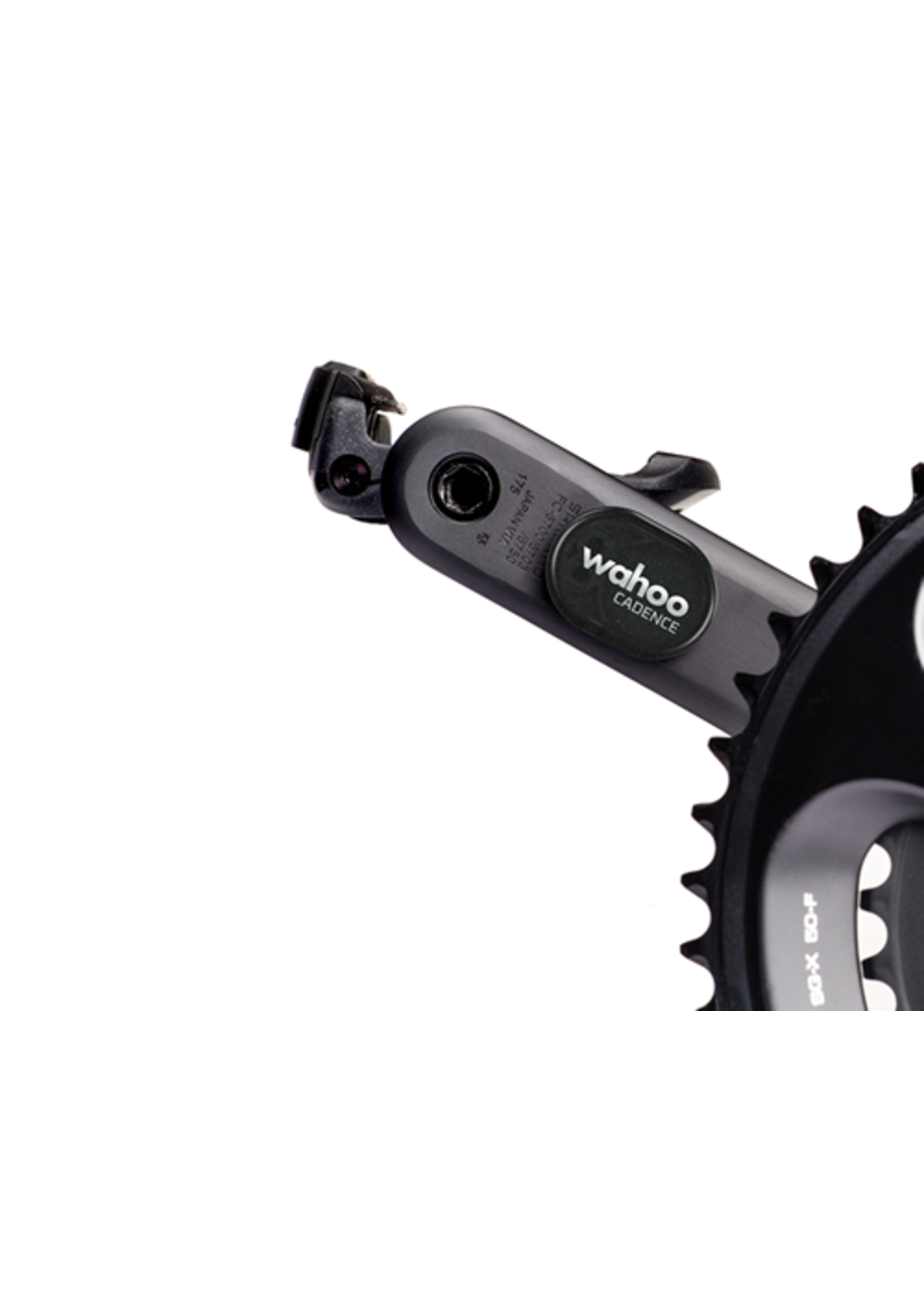 WAHOO RPM CAD (BTLE/ANT+) Elevate Cycles