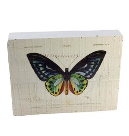 Vintage Butterfly Box Print