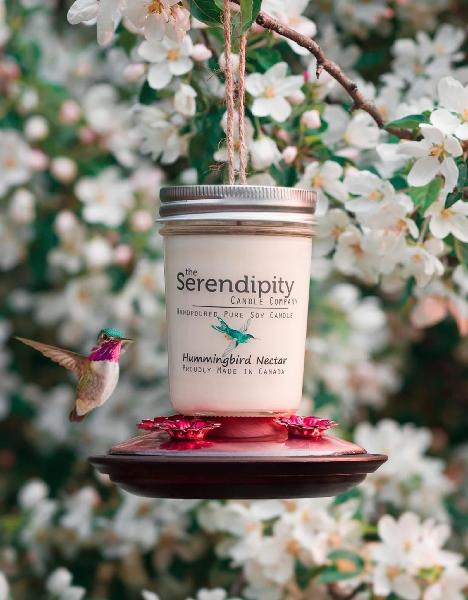 Serendipity Soy Candles 8oz Jar Candle - Hummingbird Nectar