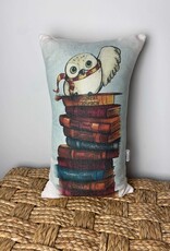 Books and Hedwig Pillow