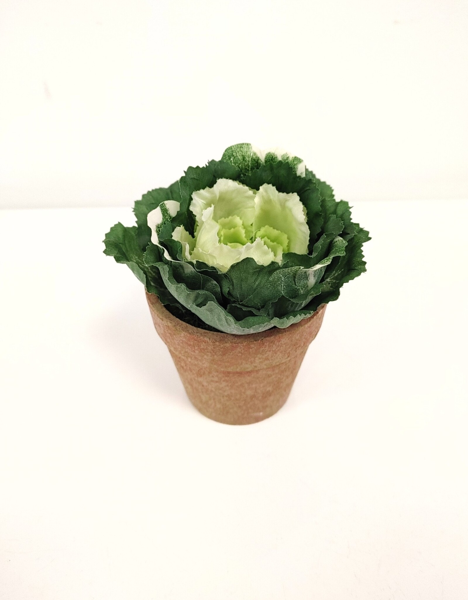 Small Artificial Potted Cabbage