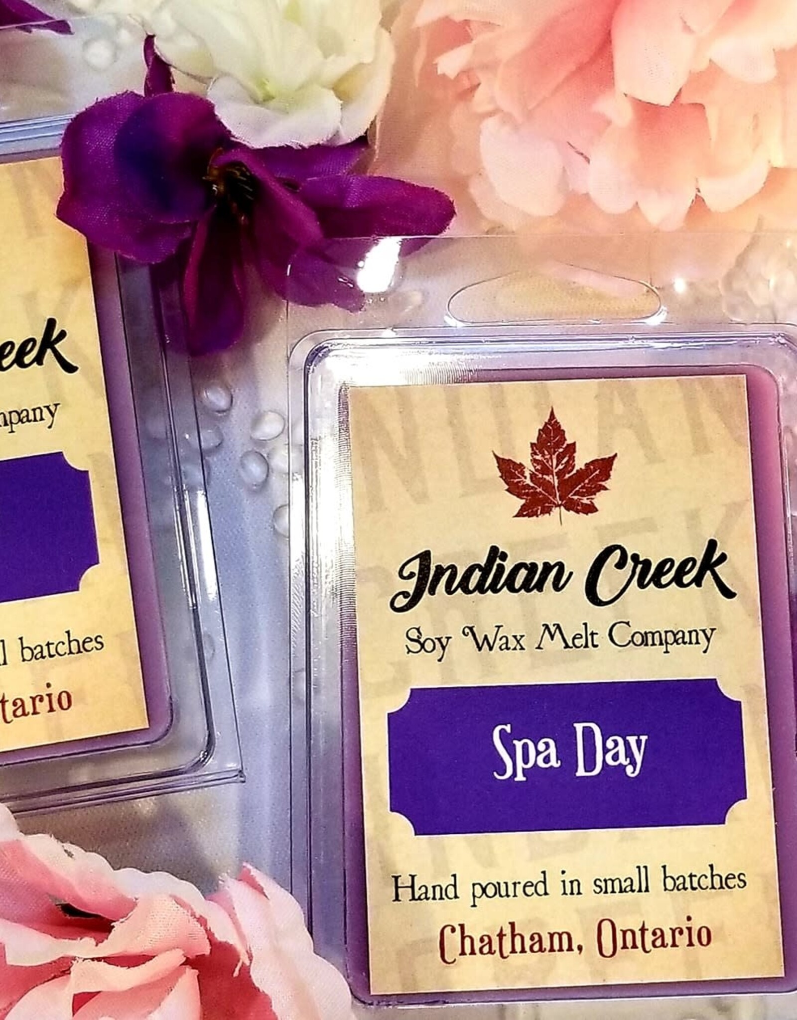 Soy Wax Melts Spa Day