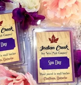Soy Wax Melts Spa Day