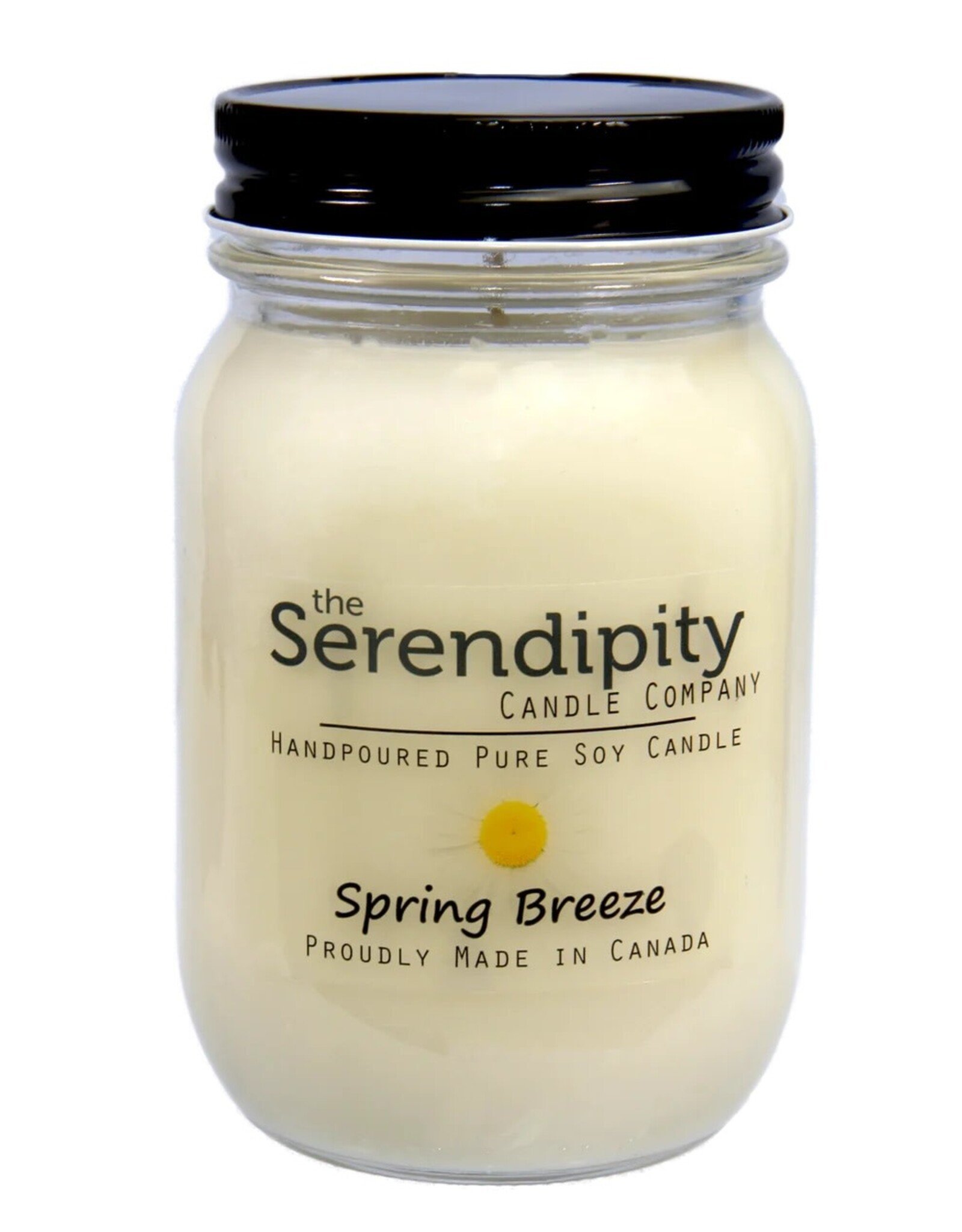 Serendipity Soy Candles 16oz Jar Candle - Spring Breeze