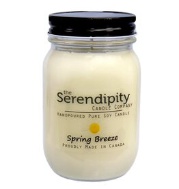 Serendipity Soy Candles 16oz Jar Candle - Spring Breeze