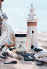 Serendipity Soy Candles 8oz Jar Candle - Cottage Life