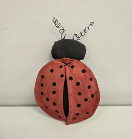 Primitive Ladybug