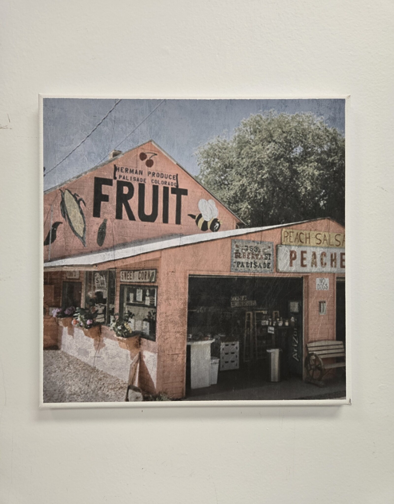 Art Canvas Print - Fruit Market