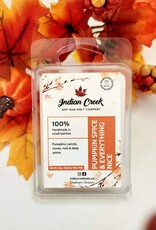 Soy Wax Melts - Pumpkin Spice & Everything Nice