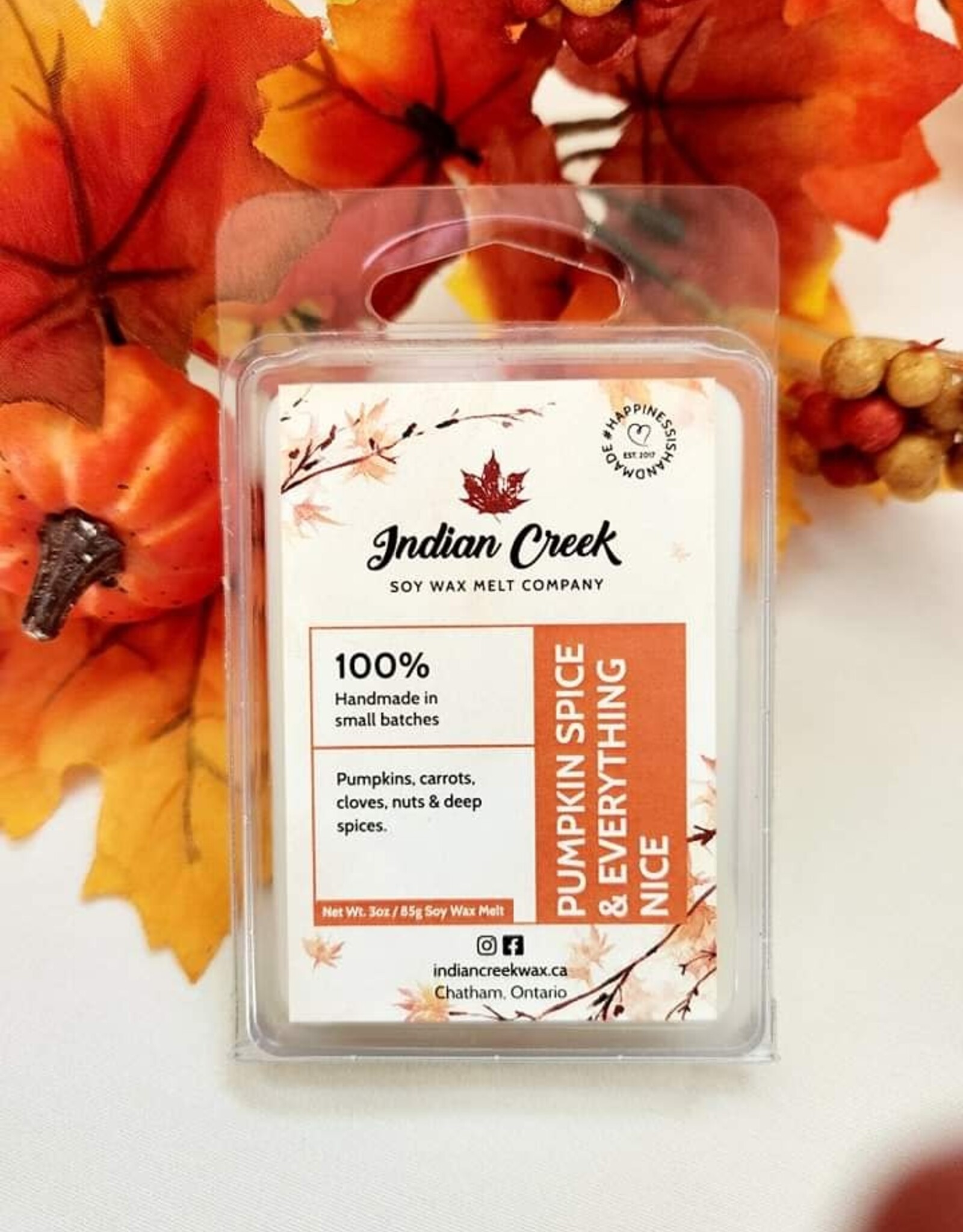 Soy Wax Melts - Pumpkin Spice & Everything Nice