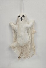 Primitive Ghost