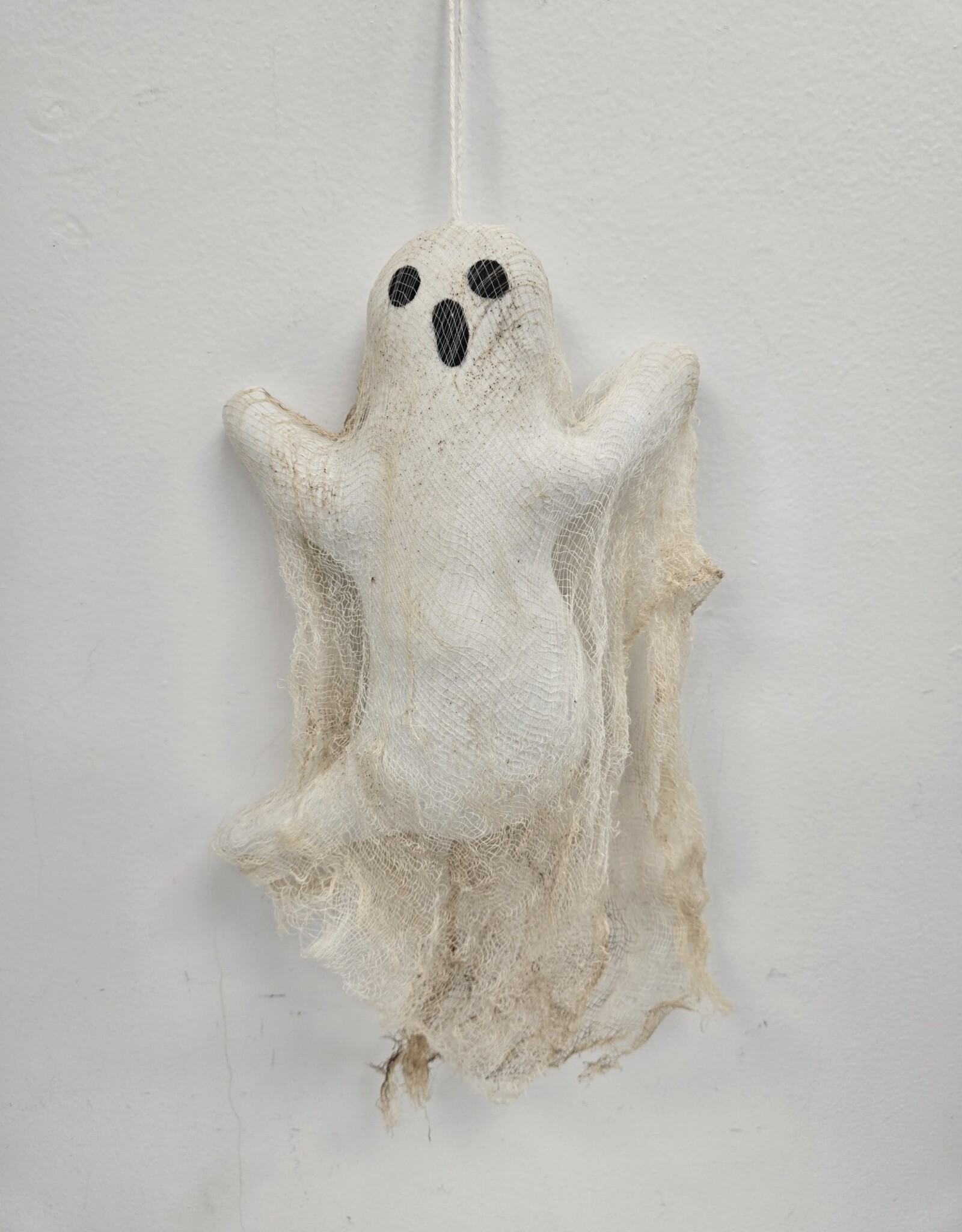 Primitive Ghost