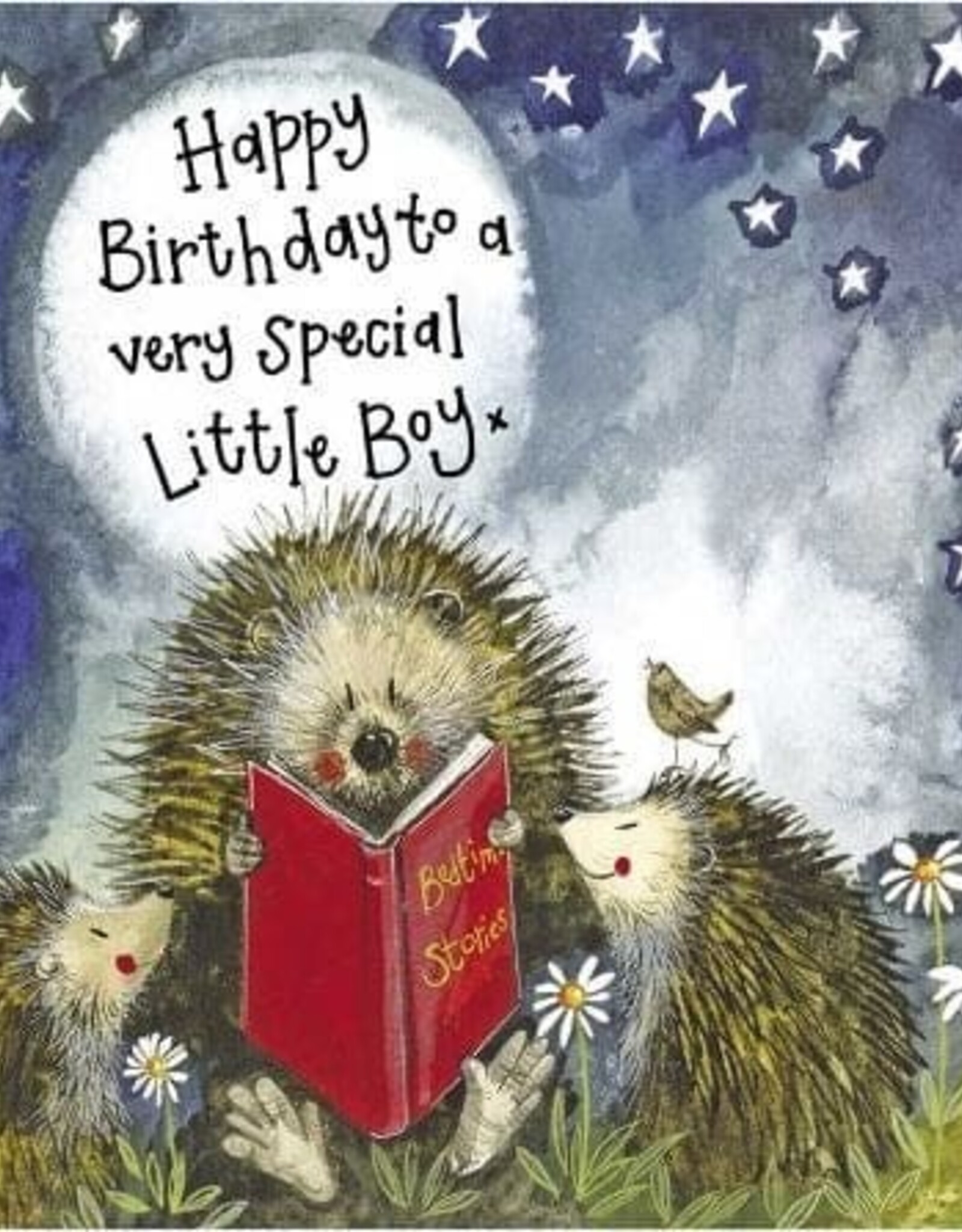 Alex Clark Birthday Card - Starlight Storytime