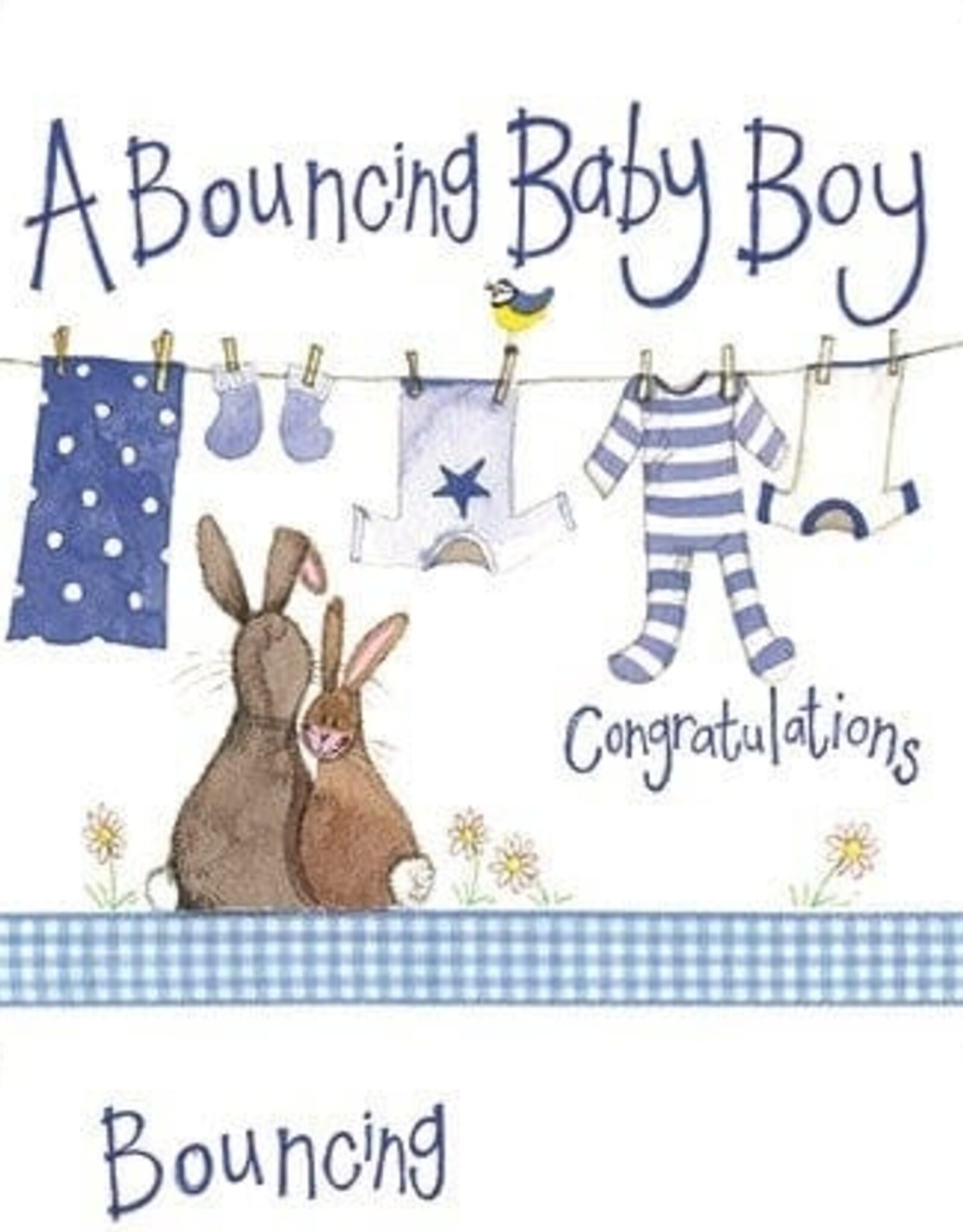 Alex Clark New Baby Card - Blue Washing Line