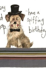 Alex Clark Birthday Card - Posh Paws