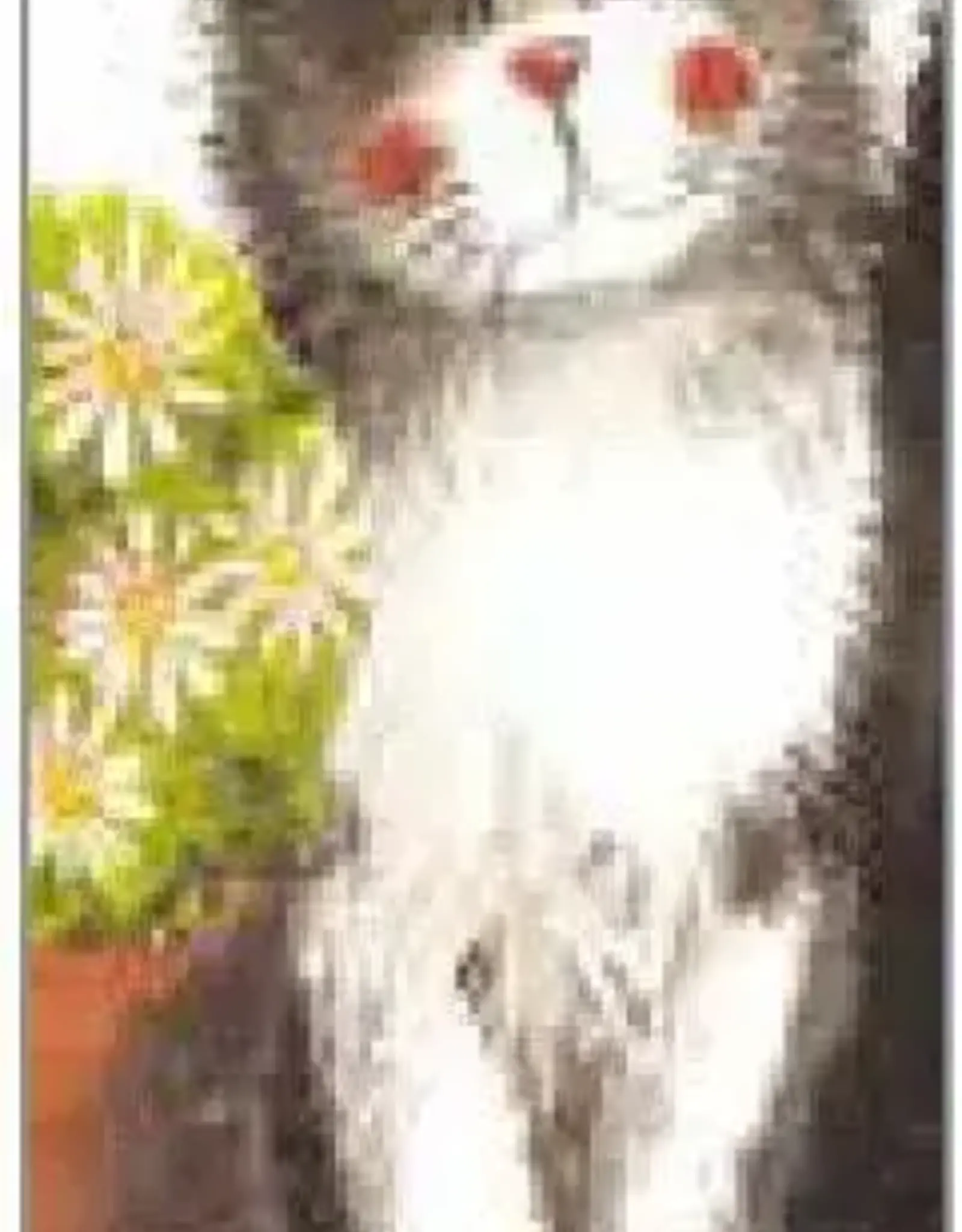 Bookmark - Randolph