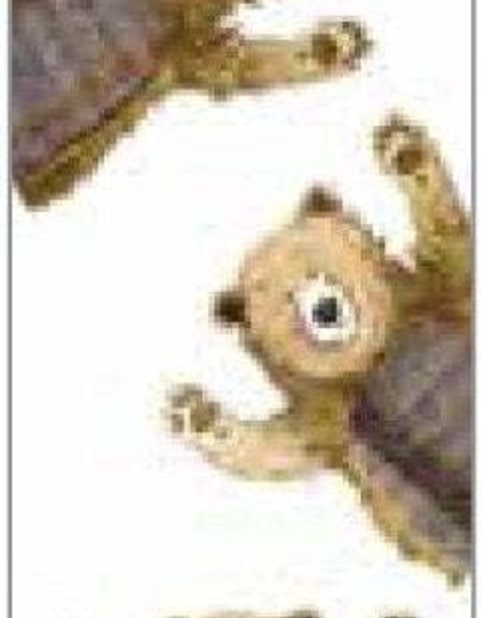Bookmark - Bear Hugs