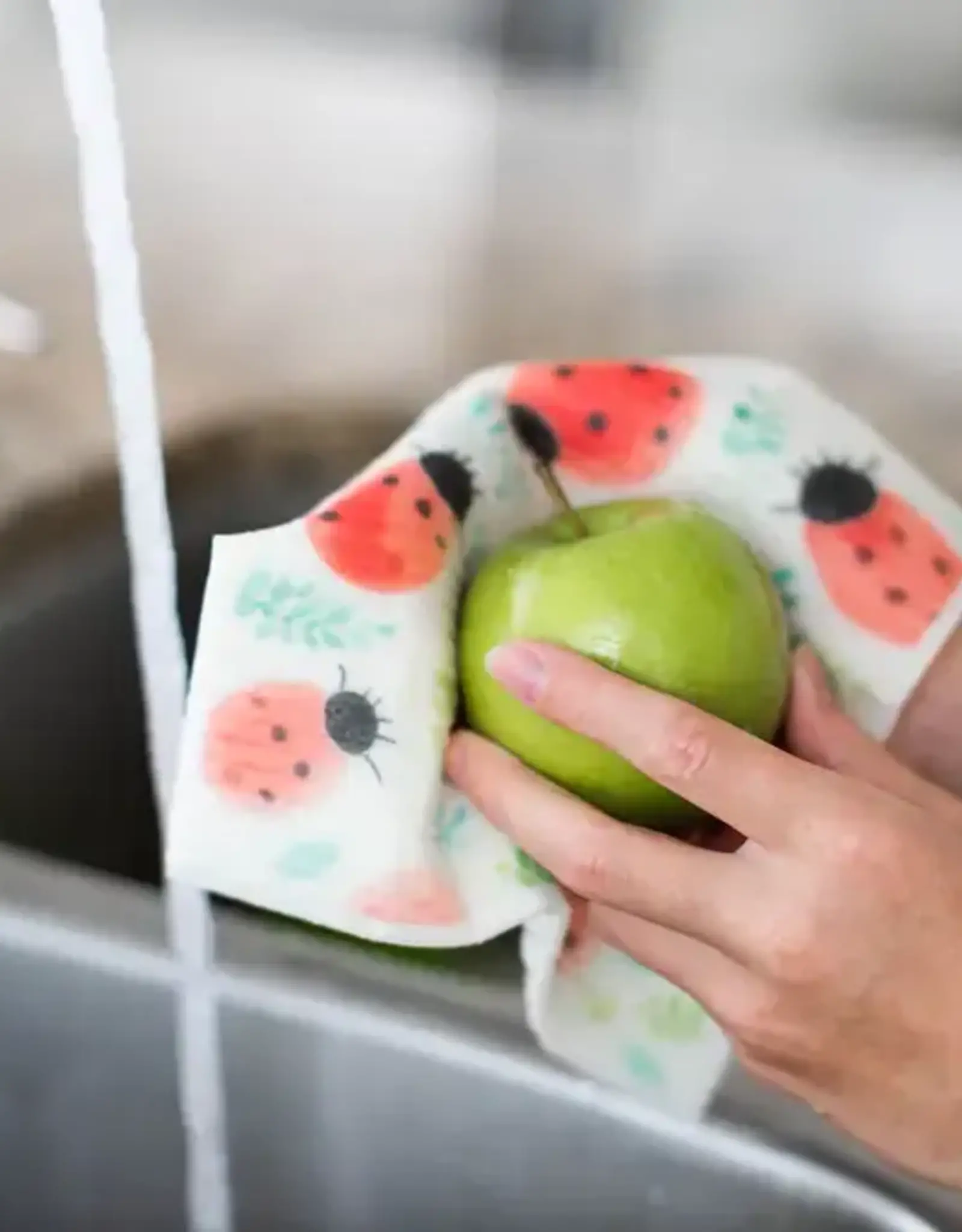 4 Pk Sponge Cloths - In The Garden