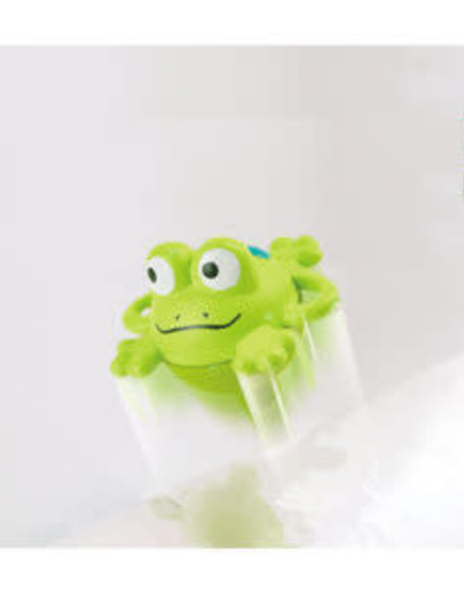 Hape Double Fun Fishing Set