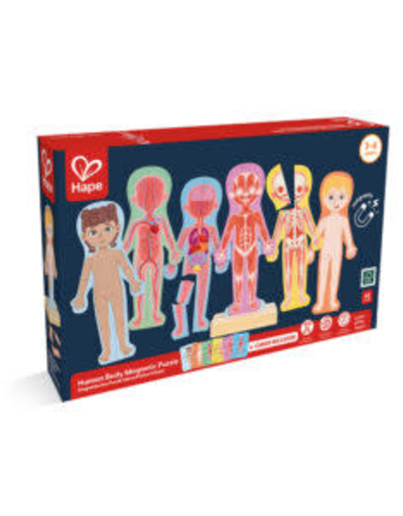 Hape Human Body Magnetic Puzzle