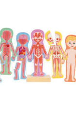 Hape Human Body Magnetic Puzzle