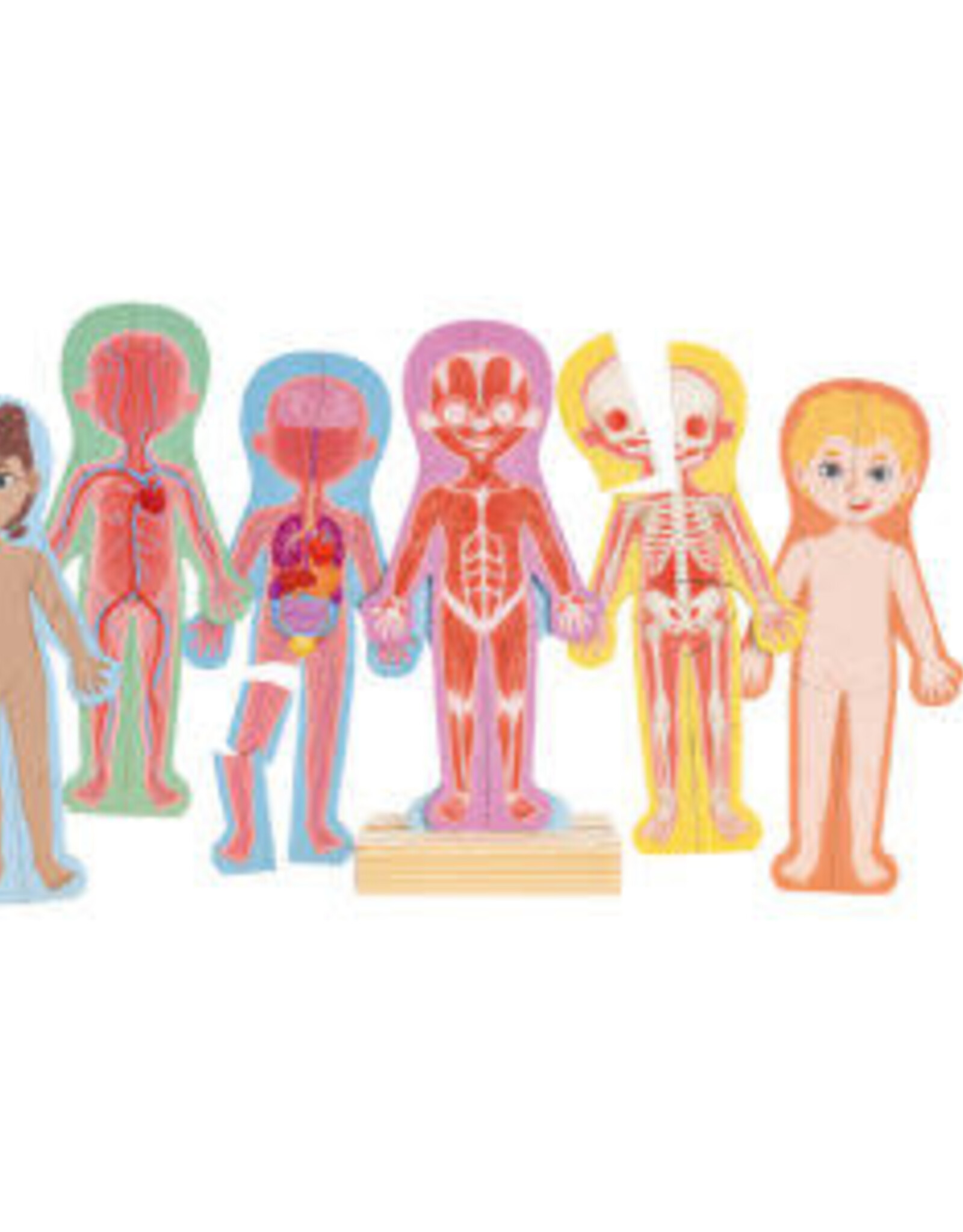 Hape Human Body Magnetic Puzzle