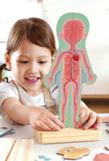 Hape Human Body Magnetic Puzzle