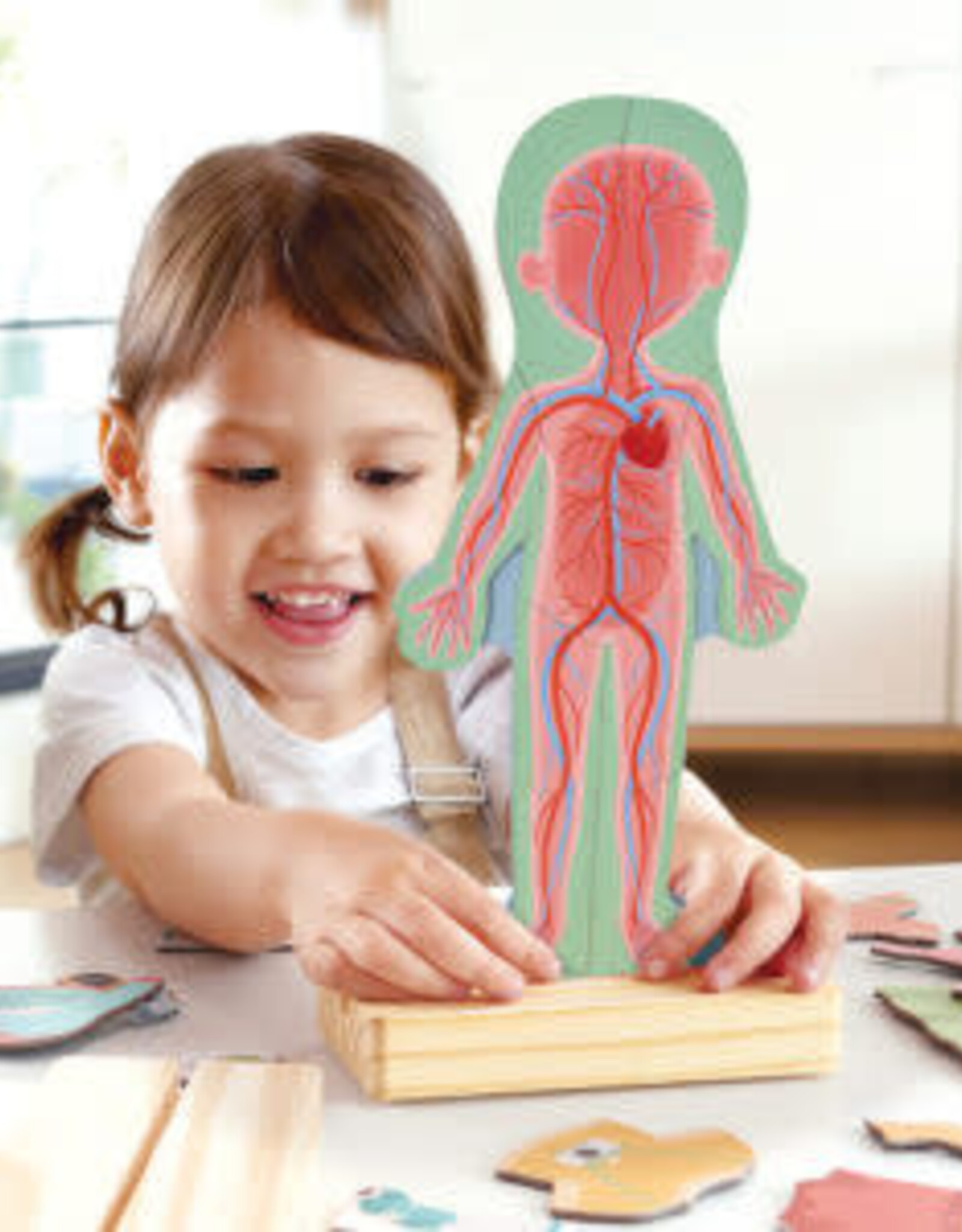 Hape Human Body Magnetic Puzzle