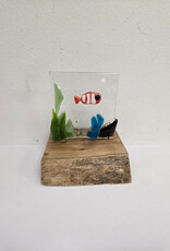Clownfish on Wood