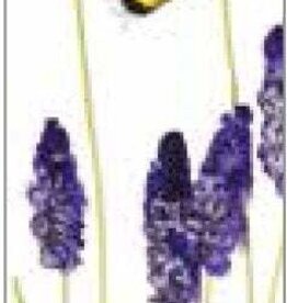 Bookmark - Lavender