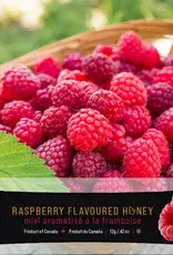 Mini Squeeze Honey Pack - Raspberry
