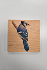 Solid Maple Wood Coaster #1093  - Blue Jay