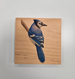 Solid Maple Wood Coaster #1093  - Blue Jay