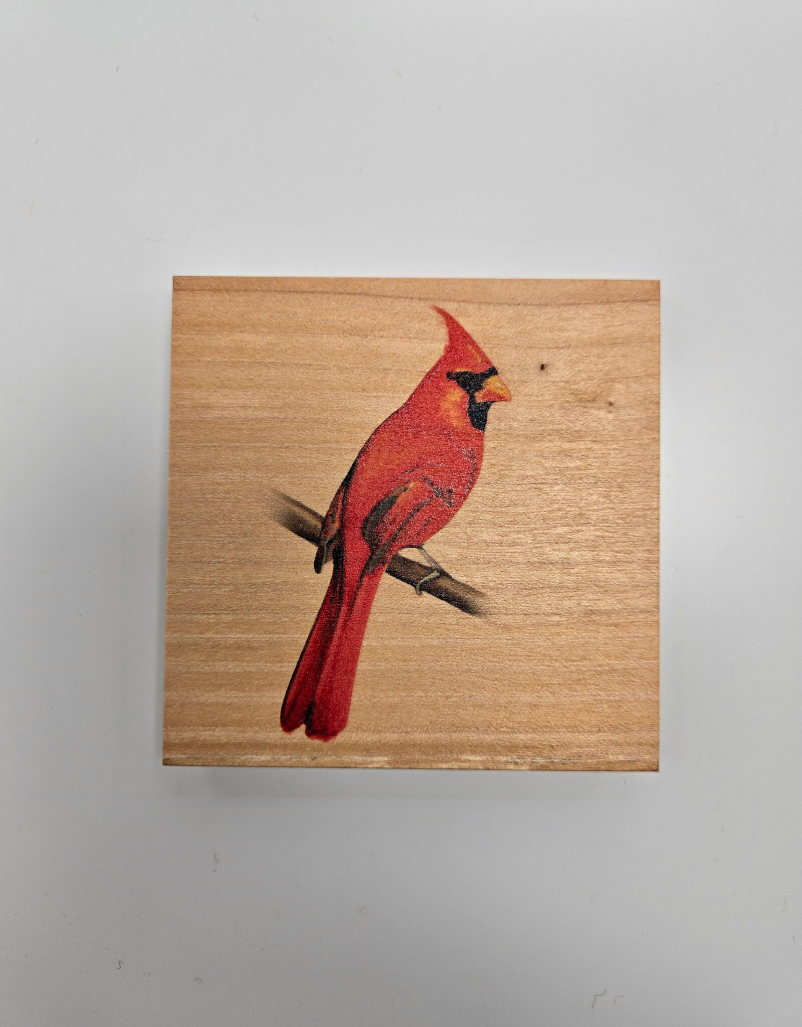 Solid Maple Wood Coaster #1094  - Cardinal