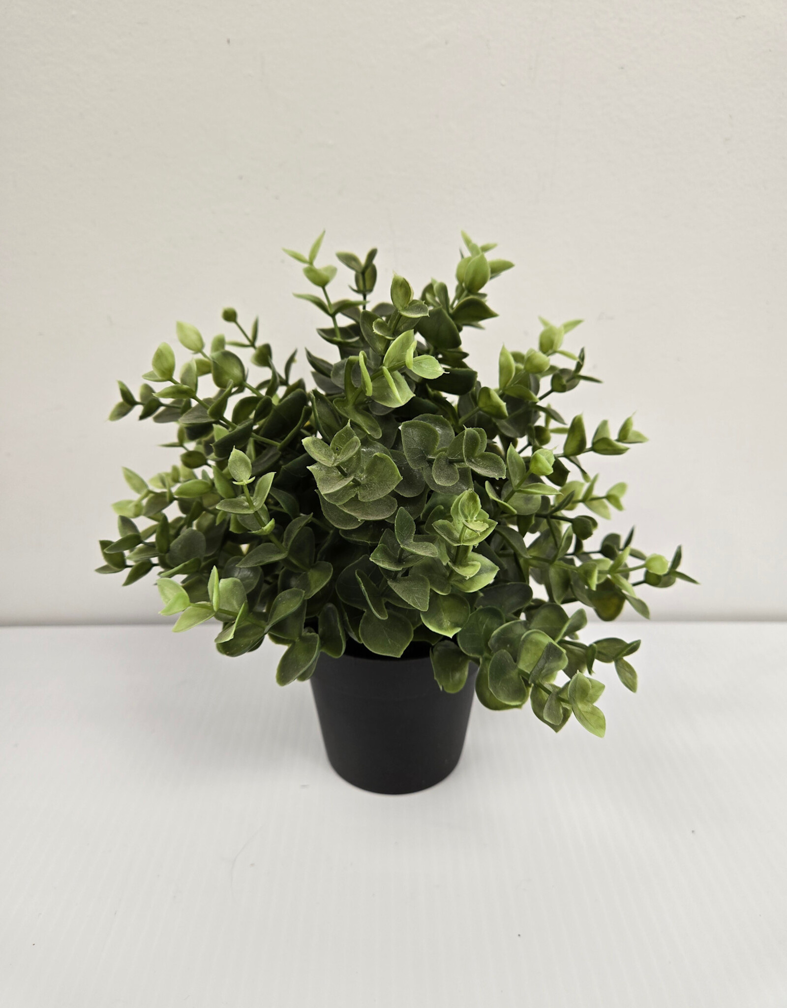 Ikea Potted Oregano