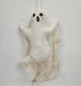 Primitive Ghost