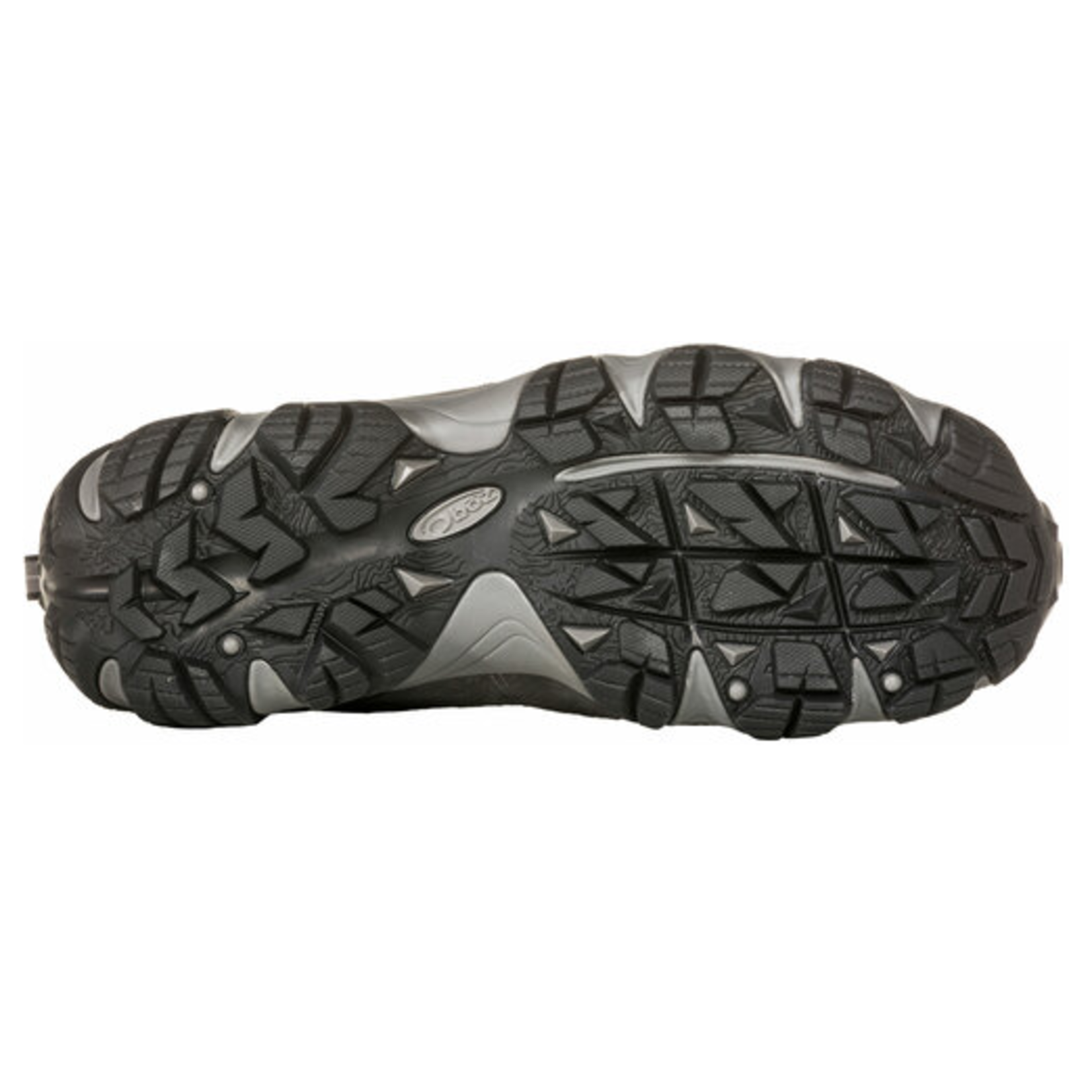 Oboz Oboz Men's Firebrand 2 Low Waterproof Gray 21301