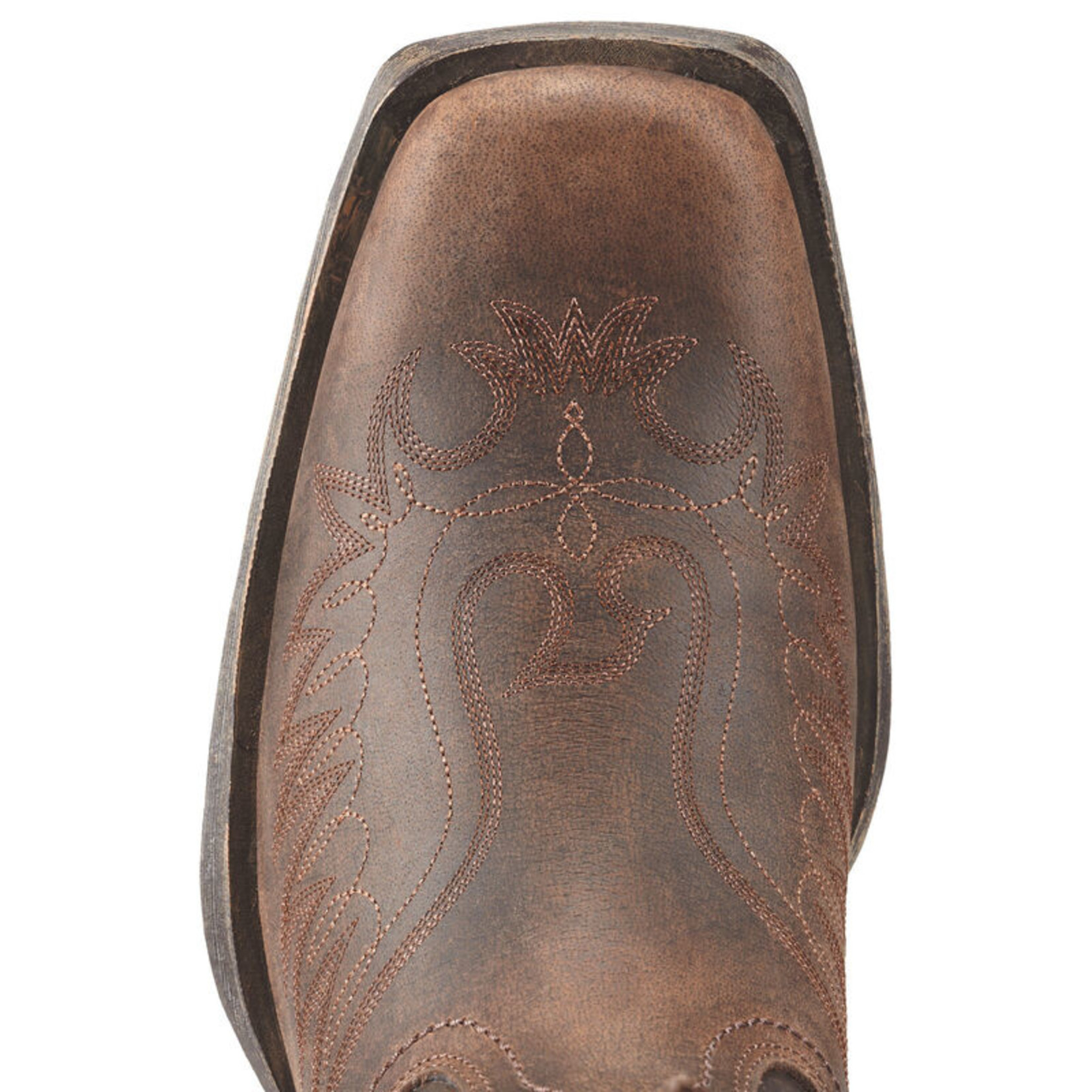 ariat rambler phoenix